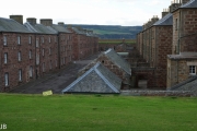 DSC07753.jpg