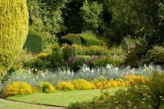 DSC07795.jpg
