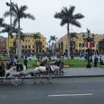 DSC09207