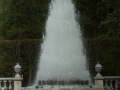 DSC01445