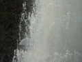 DSC01449