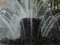 DSC01456
