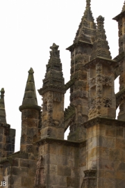 DSC08769.jpg