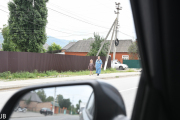 DSC_8142.jpg