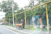 DSC_8144.jpg