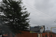 DSC_8157.jpg