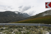 DSC_8165.jpg