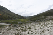 DSC_8168.jpg