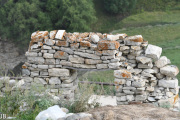 DSC_8262.jpg