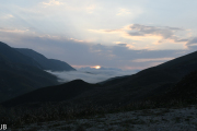 DSC_8266.jpg