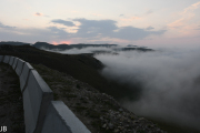 DSC_8276.jpg