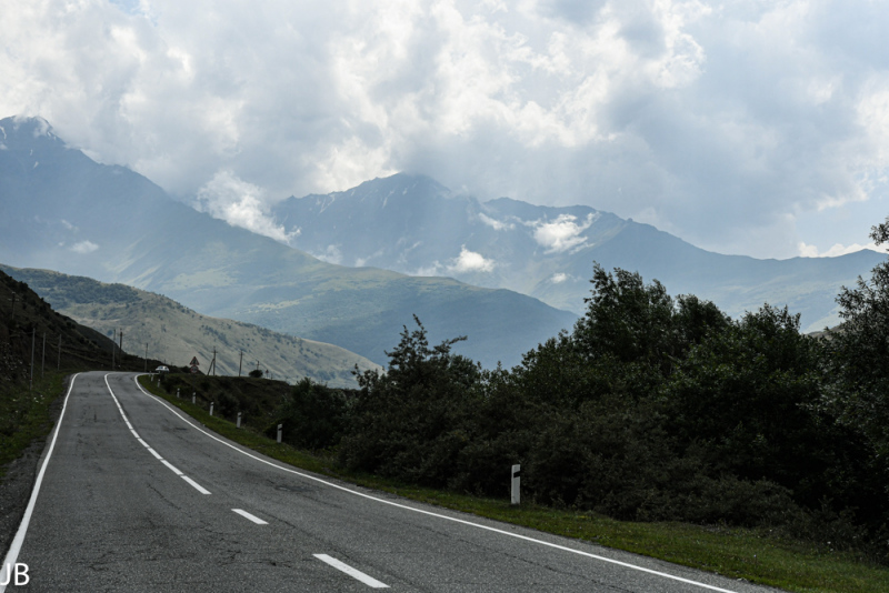 DSC_7619.jpg