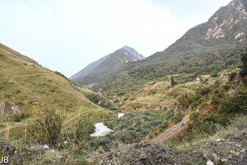 DSC_7715.jpg