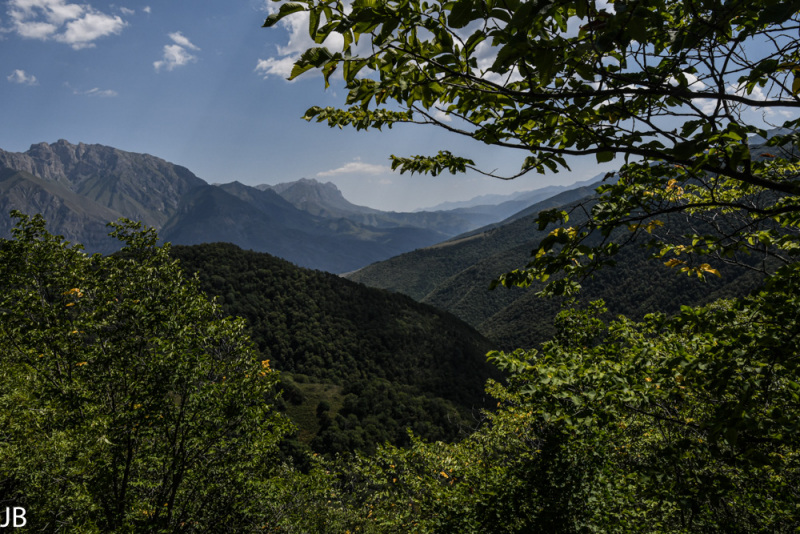 DSC_7367.jpg