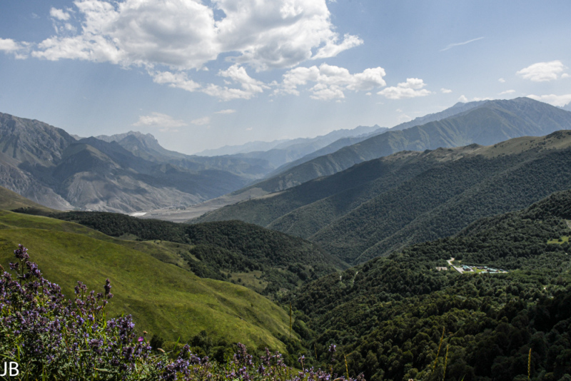 DSC_7369.jpg