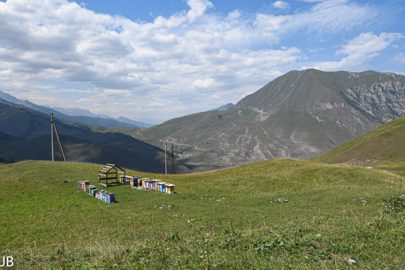 DSC_7372.jpg