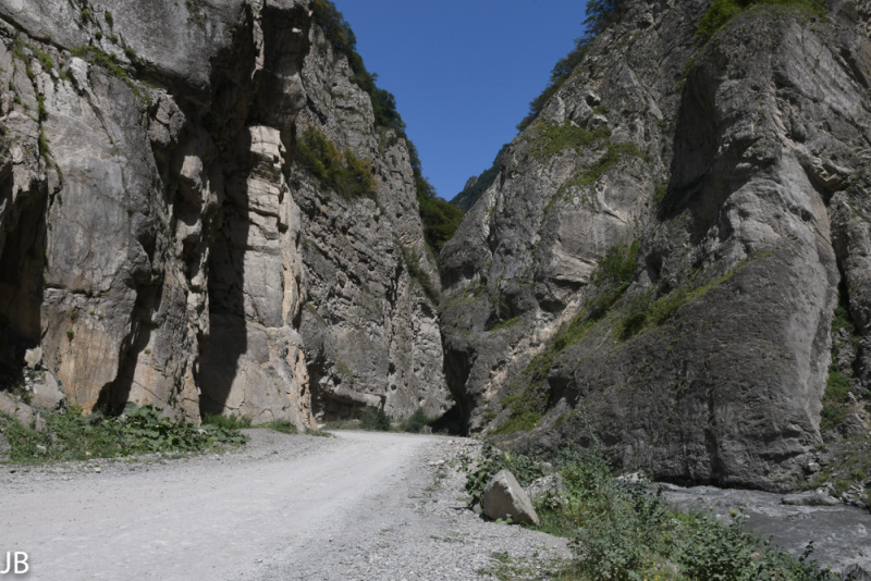 DSC_7377.jpg