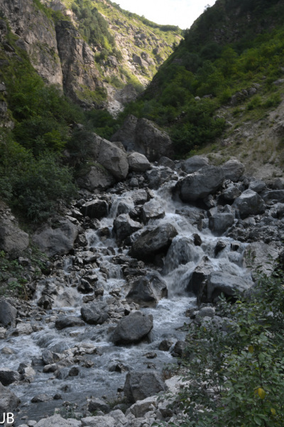 DSC_7387.jpg