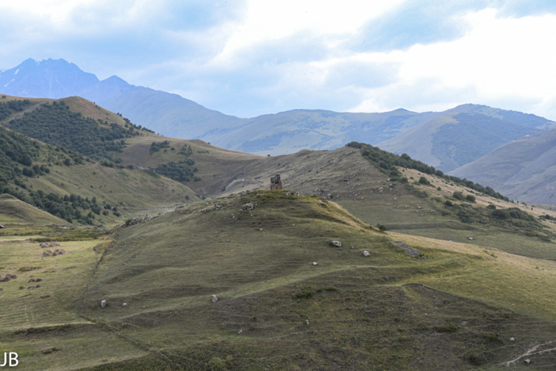 DSC_7448.jpg