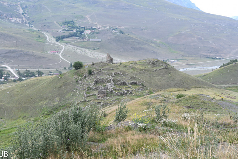 DSC_7452.jpg